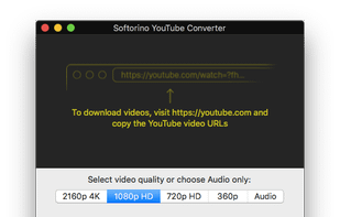 Softorino YouTube Converter screenshot 1