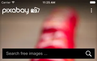 Pixabay screenshot 1