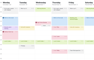 Timestripe screenshot 1