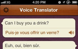Voice Translator screenshot 1