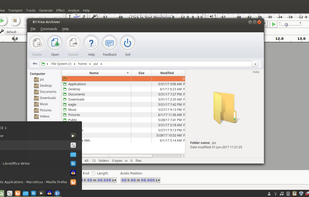 BeeFree OS screenshot 2