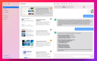 ScreenSnapAI screenshot 1