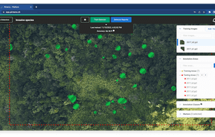 Picterra screenshot 2