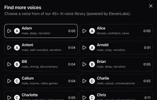 Choose voiceover styles from over 45 different voice styles.