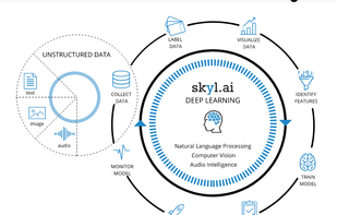 Skyl.ai screenshot 1