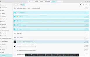 Index (Maui Applications) screenshot 1