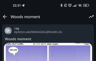 Raccoon for Lemmy screenshot 1