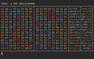 hexyl screenshot 3