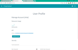 Penguin Upload screenshot 2