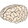 Voc2brain icon