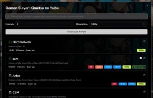 Hayase screenshot 2