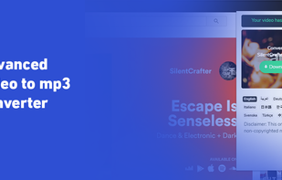 Advanced YouTube to MP3 converter screenshot 2