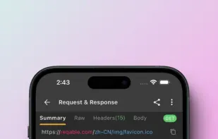 Reqable screenshot 1