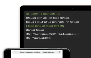 beame-insta-ssl screenshot 1