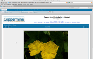 Coppermine Photo Gallery screenshot 1