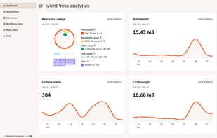 MyKinsta WordPress analytics