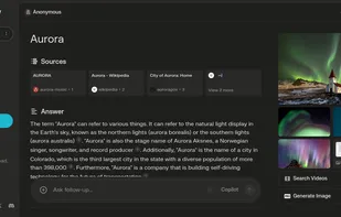 Perplexity screenshot 2