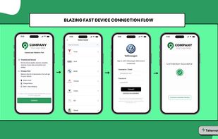 Telematica screenshot 3