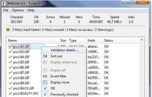 TurboSFV screenshot 3