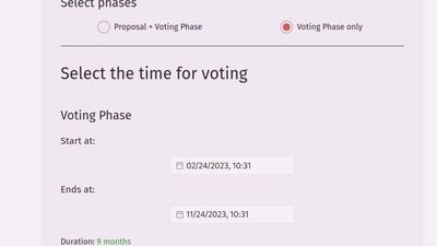 The start screen displaying the duration slider for the voting phase and a few other options to start the process.