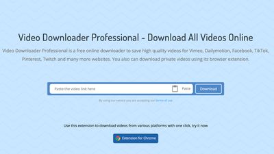 Video Downloader Professional - DMsave website