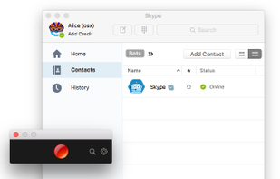 SaltyBeer Skype Recorder screenshot 1
