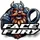 FaceFury.com icon