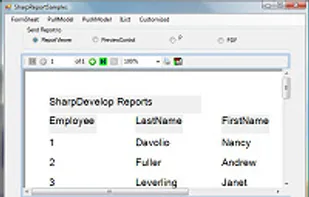 View your reports in your own custom forms