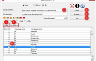 Google2SRT screenshot 1