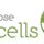 Aspose.Cells for Cloud icon
