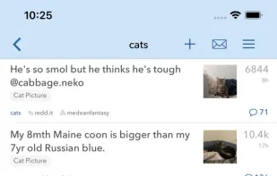 narwhal screenshot 1