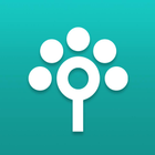 Songtree icon