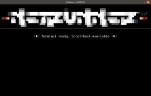 NetRunner at startup.