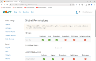 Crossbill Cone permissions configuration