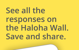 Daily Haloha screenshot 2