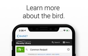 BirdNET screenshot 2