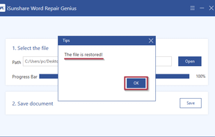 iSunshare Word Repair Genius screenshot 2