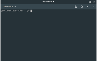 Liri Terminal screenshot 1