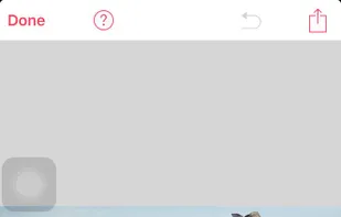 cut out ,flip or copy the image the way you want.