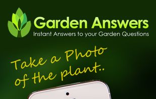 Garden Answers Plant Id screenshot 1