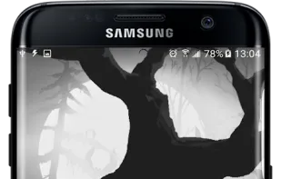 Spooky Forest Live Wallpaper screenshot 3
