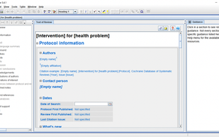 RevMan main interface