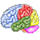 Brain Workshop icon