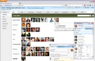 Team management in TeamWox