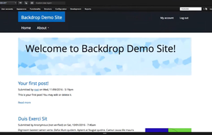 Backdrop CMS screenshot 1