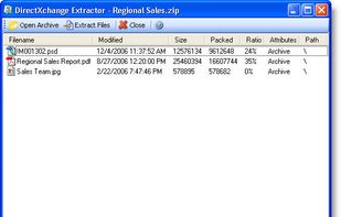 DirectXchange Standalone Extractor
This shows the standalone desktop extractor application.