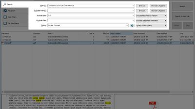 FileSeek's main search tab