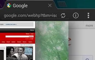xScope Browser screenshot 1