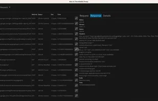 Man In The Middle Proxy screenshot 1