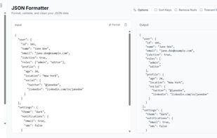 JSON Formater Tool Interface
